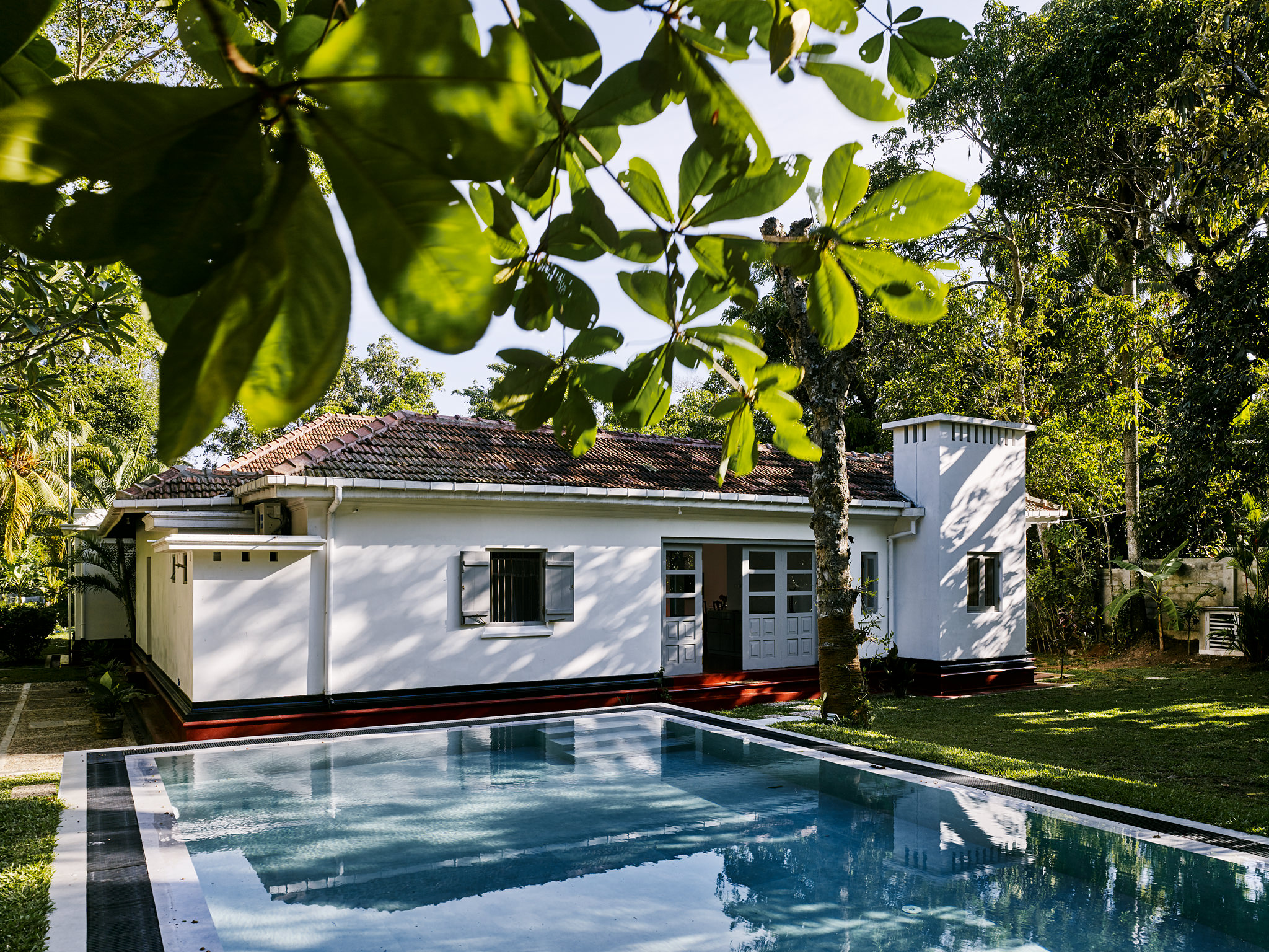 E15550 Alpa 049908 SCREEN